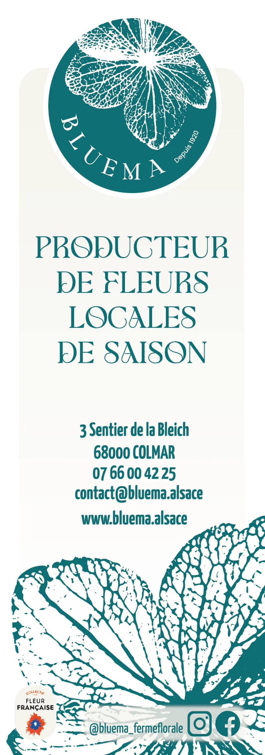 Carte de visite de Bluema